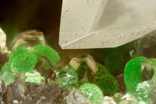 Conichalcite<br />Gold Hill Mine, Gold Hill, Gold Hill District, Tooele County, Utah, USA<br />FOV = 1.5 mm<br /> (Author: Doug)