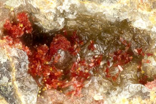 Carminite<br />Gold Hill Mine, Gold Hill, Gold Hill District, Tooele County, Utah, USA<br />FOV = 1.6 mm<br /> (Author: Doug)