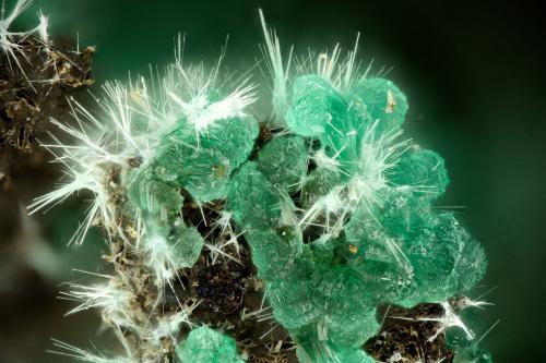 Adamite, Mixite<br />Simon Mine, Bell District, Mineral County, Nevada, USA<br />FOV = 1.8 mm<br /> (Author: Doug)