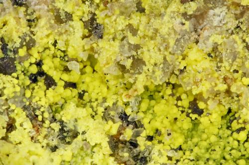 Tyuyamunite<br />Parco Mine Group, Yellow Cat Mesa, Thompsons District (S.E. Thompsons), Grand County, Utah, USA<br />FOV = 2.9 mm<br /> (Author: Doug)