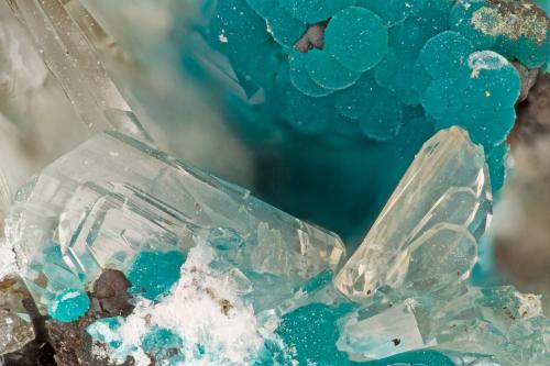 Hemimorphite, Rosasite<br />Hidden Treasure Mine, Ophir Hill area, Oquirrh Mountains, Ophir District, Tooele County, Utah, USA<br />FOV = 3.2 mm<br /> (Author: Doug)
