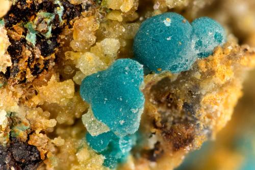 Rosasite<br />General Thomas Mine, Lone Mountain District, Esmeralda County, Nevada, USA<br />FOV = 3.2 mm<br /> (Author: Doug)