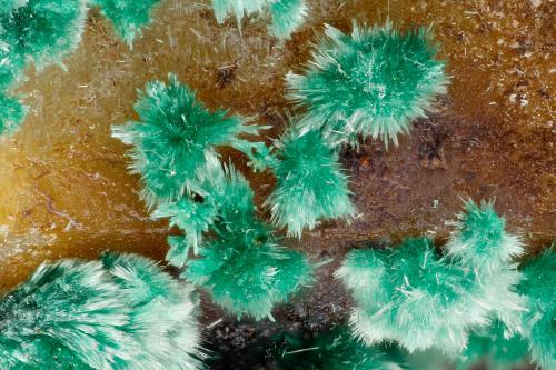 Malachite<br />Gold Hill Mine, Gold Hill, Gold Hill District, Tooele County, Utah, USA<br />FOV = 3.0 mm<br /> (Author: Doug)