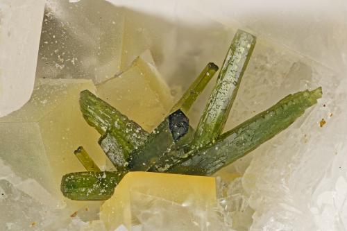 Olivenite<br />Mina Clara, Valle Rankach, Oberwolfach, Wolfach, Selva Negra, Baden-Württemberg, Alemania<br />FOV = 3.4 mm<br /> (Author: Doug)