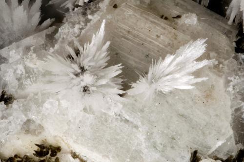 Thomsonite-Ca<br />Wind Mountain, Cornudas Mountains, Otero County, New Mexico, USA<br />FOV = 3.1 mm<br /> (Author: Doug)