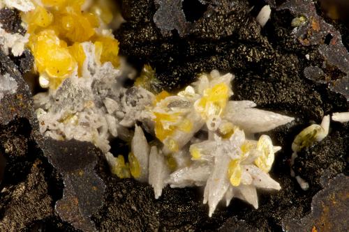 Vanadinite, Descloizite<br />Chalk Mountain Mine, Chalk Mountain, Middlegate, Chalk Mountain District, Churchill County, Nevada, USA<br />FOV = 1.3 mm<br /> (Author: Doug)