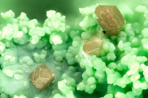 Chlorargyrite<br />Gold Hill Mine, Gold Hill, Gold Hill District, Tooele County, Utah, USA<br />FOV = 1.2 mm<br /> (Author: Doug)