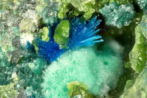 Connellite<br />Gold Hill Mine, Gold Hill, Gold Hill District, Tooele County, Utah, USA<br />FOV = 1.3 mm<br /> (Author: Doug)