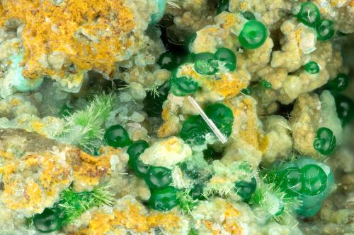 Mixite, Conichalcite<br />Gold Hill Mine, Gold Hill, Gold Hill District, Tooele County, Utah, USA<br />FOV = 2.9 mm<br /> (Author: Doug)