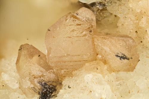 Titanite<br />Harrison Gold Mine, Bear Mountain, Harrison Lake, Chilliwack, Regional District Fraser Valley, British Columbia, Canada<br />FOV = 2.0 mm<br /> (Author: Doug)