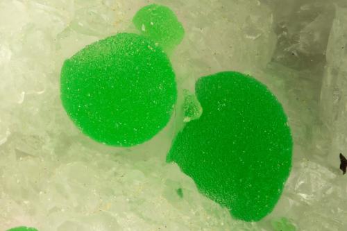 Conichalcite<br />Gold Hill Mine, Gold Hill, Gold Hill District, Tooele County, Utah, USA<br />FOV = 1.2 mm<br /> (Author: Doug)