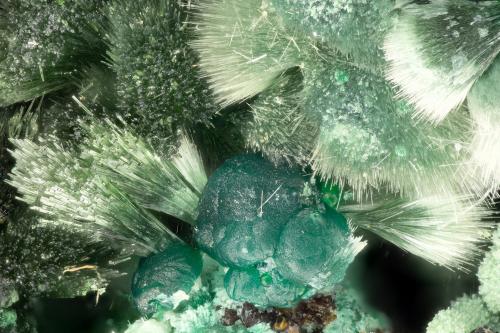 Olivenite, Cornwallite<br />Gold Hill Mine, Gold Hill, Gold Hill District, Tooele County, Utah, USA<br />FOV = 3.5 mm<br /> (Author: Doug)