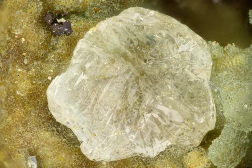 Cerussite<br />Reward Mine, Reward, Russ District, Inyo County, California, USA<br />FOV = 1.8 mm<br /> (Author: Doug)