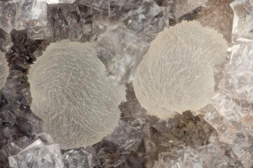 Thomsonite-Ca, Chabazite-Ca<br />Taratimi Bay (Crater Bay), Mayor Island (Tuhua), New Zealand<br />FOV = 3.5 mm<br /> (Author: Doug)