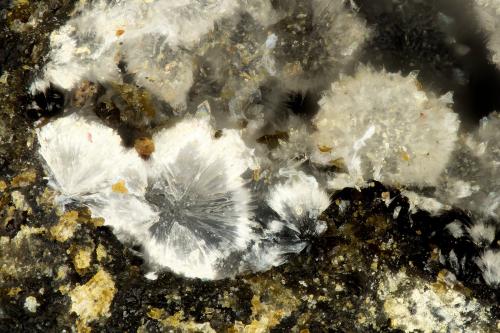Cowlesite<br />Taratimi Bay (Crater Bay), Mayor Island (Tuhua), New Zealand<br />FOV = 1.2 mm<br /> (Author: Doug)