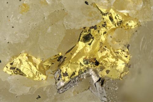 Gold<br />Harrison Gold Mine, Bear Mountain, Harrison Lake, Chilliwack, Regional District Fraser Valley, British Columbia, Canada<br />FOV = 1.7 mm<br /> (Author: Doug)