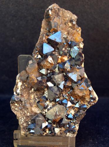 Magnetita<br />Cerro Huañaquino, Paco Grande, Provincia Tomás Frías, Departamento Potosí, Bolivia<br />8 x 5.5 cm<br /> (Autor: Pedro Antonio)