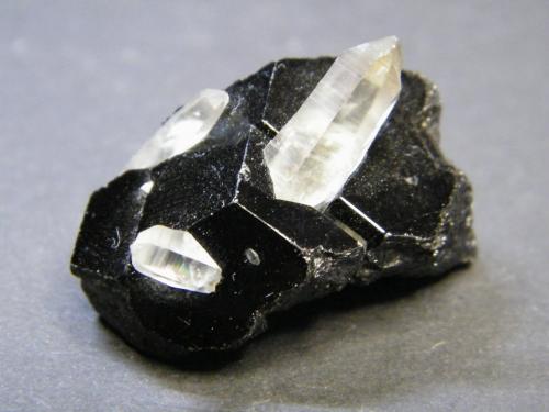 Schorl and Quartz<br />Erongo Mountain, Usakos, Erongo Region, Namibia<br />36mm x 26mm x 23mm<br /> (Author: Heimo Hellwig)