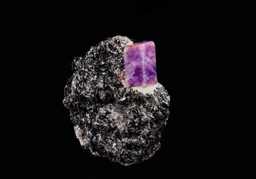 Corindón (variedad policroma rubi-zafiro), Moscovita, Piropo<br />Cantera Zazafotsy, Comunidad Zazafotsy, Fianarantsoa, Distrito Ihosy, Región Horombe, Provincia Fianarantsoa, Madagascar<br />6,6 x 5,8 cm.<br /> (Autor: Xavier Bordas)