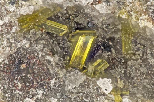 Diopside<br />Lemolo Lake, Clearwater, Douglas County, Oregon, USA<br />FOV = 1.3 mm<br /> (Author: Doug)