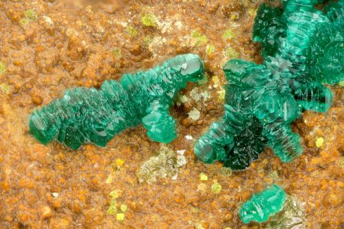 Brochantite<br />Reward Mine, Reward, Russ District, Inyo County, California, USA<br />FOV = 1.5 mm<br /> (Author: Doug)