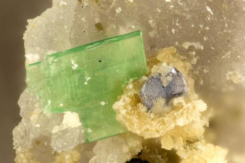 Torbernte<br />Tyrone Mine, Tyrone Area, Burro Mountains District, Grant County, New Mexico, USA<br />FOV = 1.1 mm<br /> (Author: Doug)