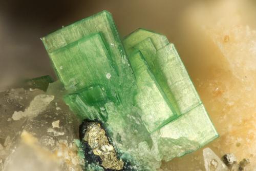 Torbernite<br />Tyrone Mine, Tyrone Area, Burro Mountains District, Grant County, New Mexico, USA<br />FOV = 1.3 mm<br /> (Author: Doug)