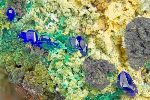 Azurite<br />Touissit, Touissit District, Jerada Province, Oriental Region, Morocco<br />FOV = 4.0 mm<br /> (Author: Doug)