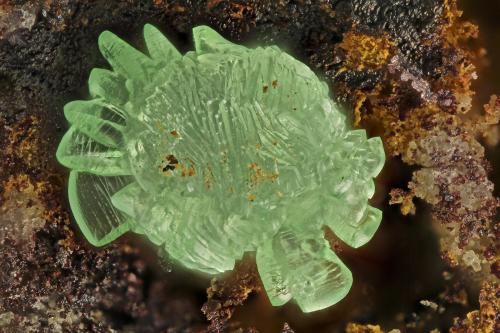 Austinite<br />Bob Montgomery Claim Group, Peloncillo Mountains, Granite Gap, San Simon District, Hidalgo County, New Mexico, USA<br />FOV = 1.6 mm<br /> (Author: Doug)