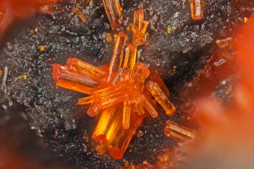 Realgar<br />Mina Getchell, Pico Adam, Distrito Potosi, Montes Osgood, Condado Humboldt, Nevada, USA<br />FOV = 1.3 mm<br /> (Author: Doug)