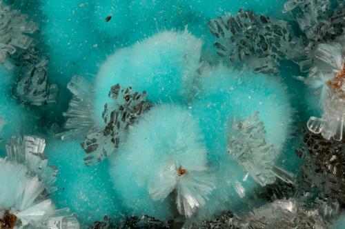 Aurichalcite, Hemimorphite<br />Bob Montgomery Claim Group, Peloncillo Mountains, Granite Gap, San Simon District, Hidalgo County, New Mexico, USA<br />FOV = 4.0 mm<br /> (Author: Doug)