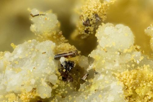 Rutile, Scorodite<br />Gold Hill Mine, Gold Hill, Gold Hill District, Tooele County, Utah, USA<br />FOV = 0.8 mm<br /> (Author: Doug)