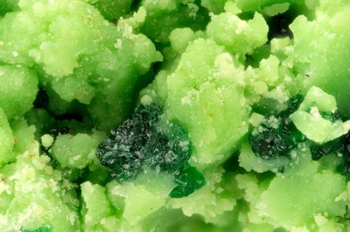 Gartrellite, Brochantite<br />Ashburton Downs Station, Ashburton Shire, Western Australia, Australia<br />FOV = 1.7 mm<br /> (Author: Doug)