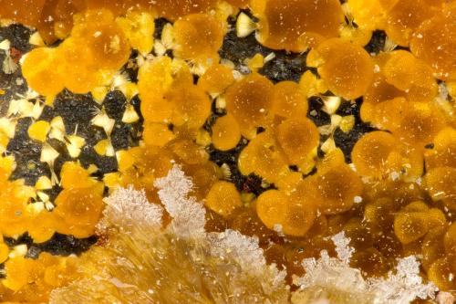 Cacoxenite<br />Willard Mine, Willard District, Pershing County, Nevada, USA<br />FOV = 1.5 mm<br /> (Author: Doug)