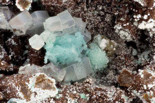 Fluorite<br />Silver Coin Mine, Valmy, Iron Point District, Humboldt County, Nevada, USA<br />FOV = 3.3 mm<br /> (Author: Doug)