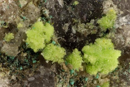 Pseudojohnite<br />Widowmaker Mine, Fry Mesa, White Canyon, White Canyon District, San Juan County, Utah, USA<br />FOV = 2.9 mm<br /> (Author: Doug)