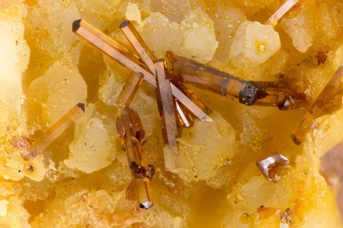 Vanadinite<br />Shelby Mine, White Hills, Cerbat Mountains, Gold Basin District, Mohave County, Arizona, USA<br />FOV = 3.2 mm<br /> (Author: Doug)