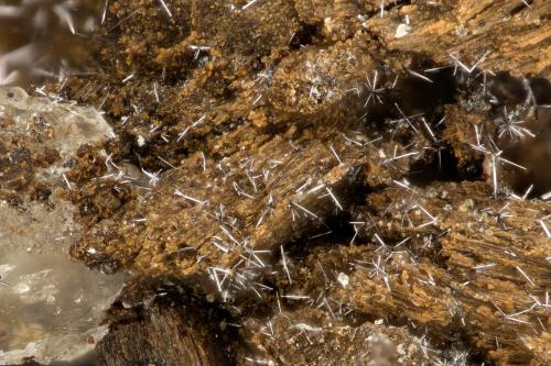 Selenium<br />Firefly-Pigmay Mine, La Sal Quadrangle, San Juan County, Utah, USA<br />FOV = 1.3 mm<br /> (Author: Doug)