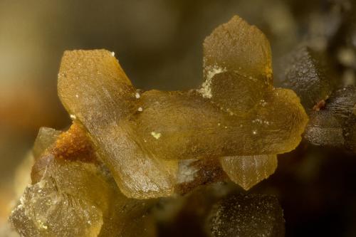 Siderite<br />Mina Gold Quarry, Subdistrito Maggie Creek, Carlin Trend, Condado Eureka, Nevada, USA<br />FOV = 2.9 mm<br /> (Author: Doug)
