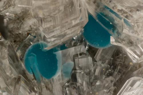 Rosasite Hemimorphite<br />Hidden Treasure Mine, Ophir Hill area, Oquirrh Mountains, Ophir District, Tooele County, Utah, USA<br />FOV = 3.1 mm<br /> (Author: Doug)