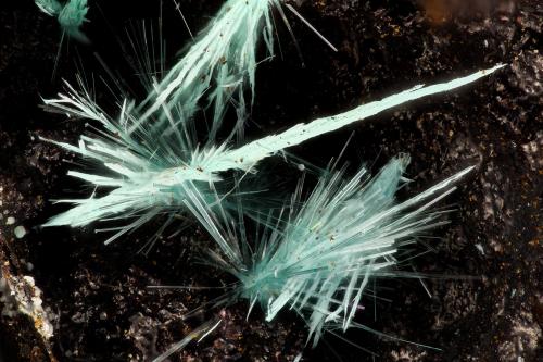 Aurichalcite<br />War Eagle Mine, Upper Noonday Camp, Nopah Range, Inyo County, California, USA<br />FOV = 3.5 mm<br /> (Author: Doug)