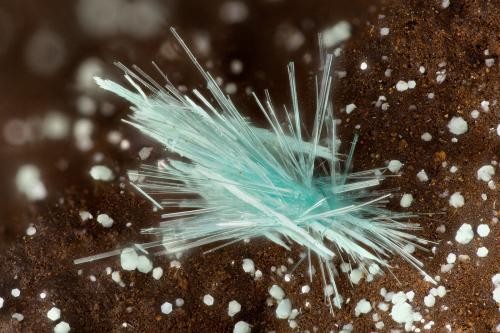 Aurichalcite Fraipontite<br />War Eagle Mine, Upper Noonday Camp, Nopah Range, Inyo County, California, USA<br />FOV = 3.2 mm<br /> (Author: Doug)