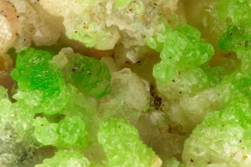Conichalcite<br />Mohawk Mine, Mohawk Hill, Clark Mountains, Clark Mountain District (Clark District), San Bernardino County, California, USA<br />FOV = 1.3 mm<br /> (Author: Doug)