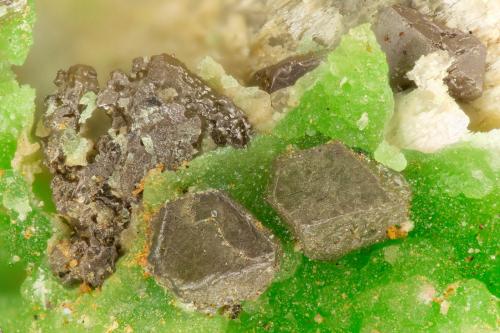 Chlorargyrite Conichalcite<br />Mohawk Mine, Mohawk Hill, Clark Mountains, Clark Mountain District (Clark District), San Bernardino County, California, USA<br />FOV = 1.5 mm<br /> (Author: Doug)