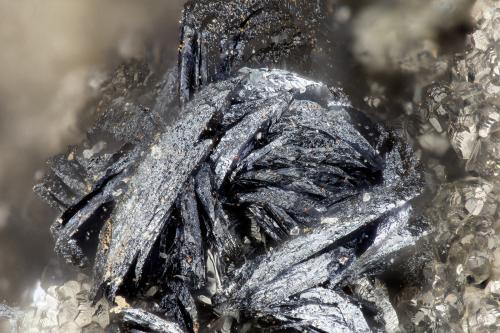 Chalcophanite<br />Mohawk Mine, Mohawk Hill, Clark Mountains, Clark Mountain District (Clark District), San Bernardino County, California, USA<br />FOV = 1.7 mm<br /> (Author: Doug)