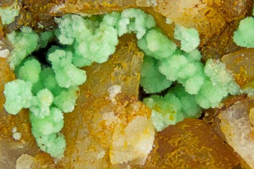 Annabergite<br />Mina Km-3, Lavrion, Distrito minero Lavrion, Prefectura Attikí (Attica), Grecia<br />FOV = 4.0 mm<br /> (Author: Doug)