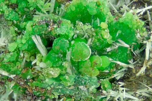 Conichalcite<br />Hilarion Mine, Hilarion area, Kamariza Mines, Agios Konstantinos, Lavrion Mining District, Attikí (Attica) Prefecture, Greece<br />FOV = 4.0 mm<br /> (Author: Doug)