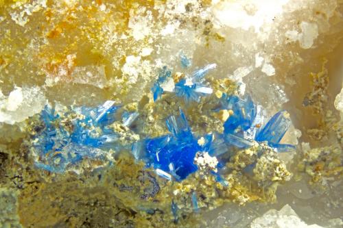 Linarite<br />Driggith Mine (Driggeth Mine), Caldbeck Fells, Allerdale, former Cumberland, Cumbria, England / United Kingdom<br />FOV = 2.0 mm<br /> (Author: Doug)