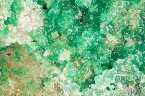 Chalcosiderite<br />Tyrone Mine, Tyrone Area, Burro Mountains District, Grant County, New Mexico, USA<br />FOV = 4.0 mm<br /> (Author: Doug)