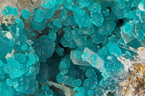 Rosasite, Hemimorphite<br />Grupo de concesiones Bob Montgomery, Montes Peloncillo, Granite Gap, Distrito San Simon, Condado Hidalgo, New Mexico, USA<br />FOV = 4.0 mm<br /> (Author: Doug)